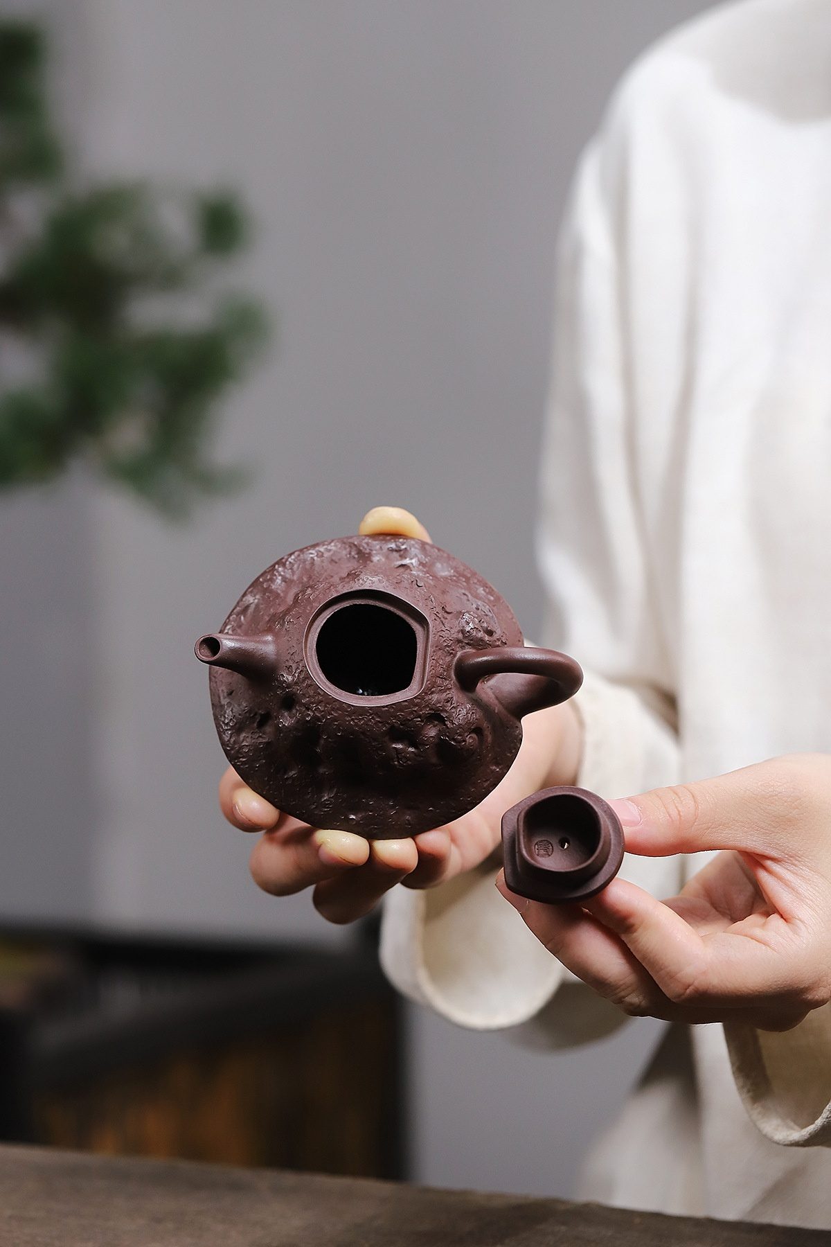 宜興紫砂壺原礦紫泥靈芝仿生壺(110ml)，南山居手工粗礦紫砂壺，壺身呈現獨特月表或岩石紋理，深沉泥色彰顯禪意茶道風格。