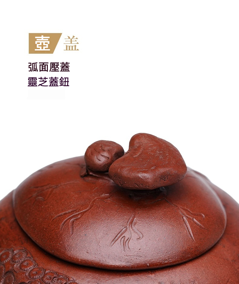 宜興紫砂壺原礦紅泥仙人洞仿生壺(460ml)，南山居紫砂壺蓋特寫，採用弧面壓蓋設計，靈芝蓋鈕精巧雅致，泥繪紋理細膩。