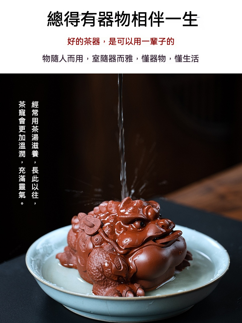 宜興原礦大紅袍將軍蟾茶寵，南山居紫砂金蟾茶寵，紅褐色泥質溫潤，精雕三足金蟾與聚財銅錢，提升茶席禪意。