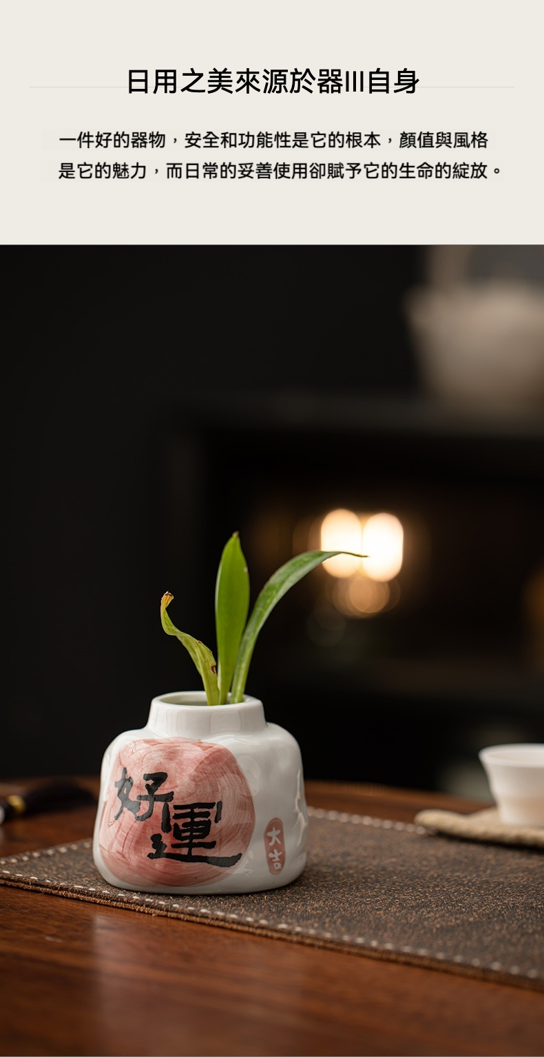 陶瓷水培花瓶 桌面擺件 綠植花插 商品詳情圖 9
